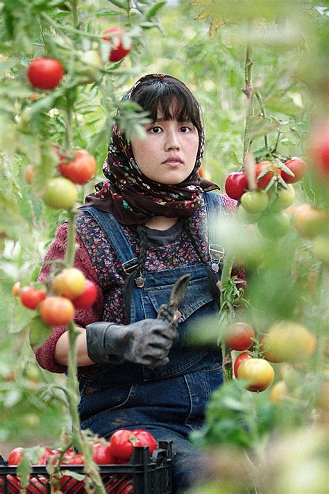 Dar sarzamin-e baradar 2025