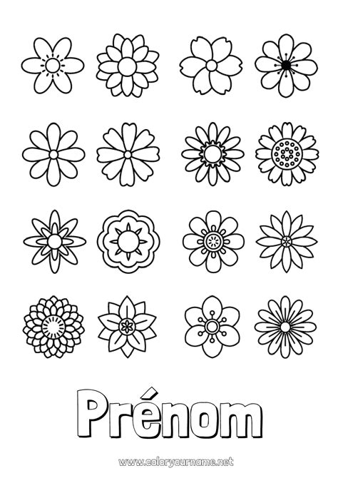 Les fleurs du silence 2025